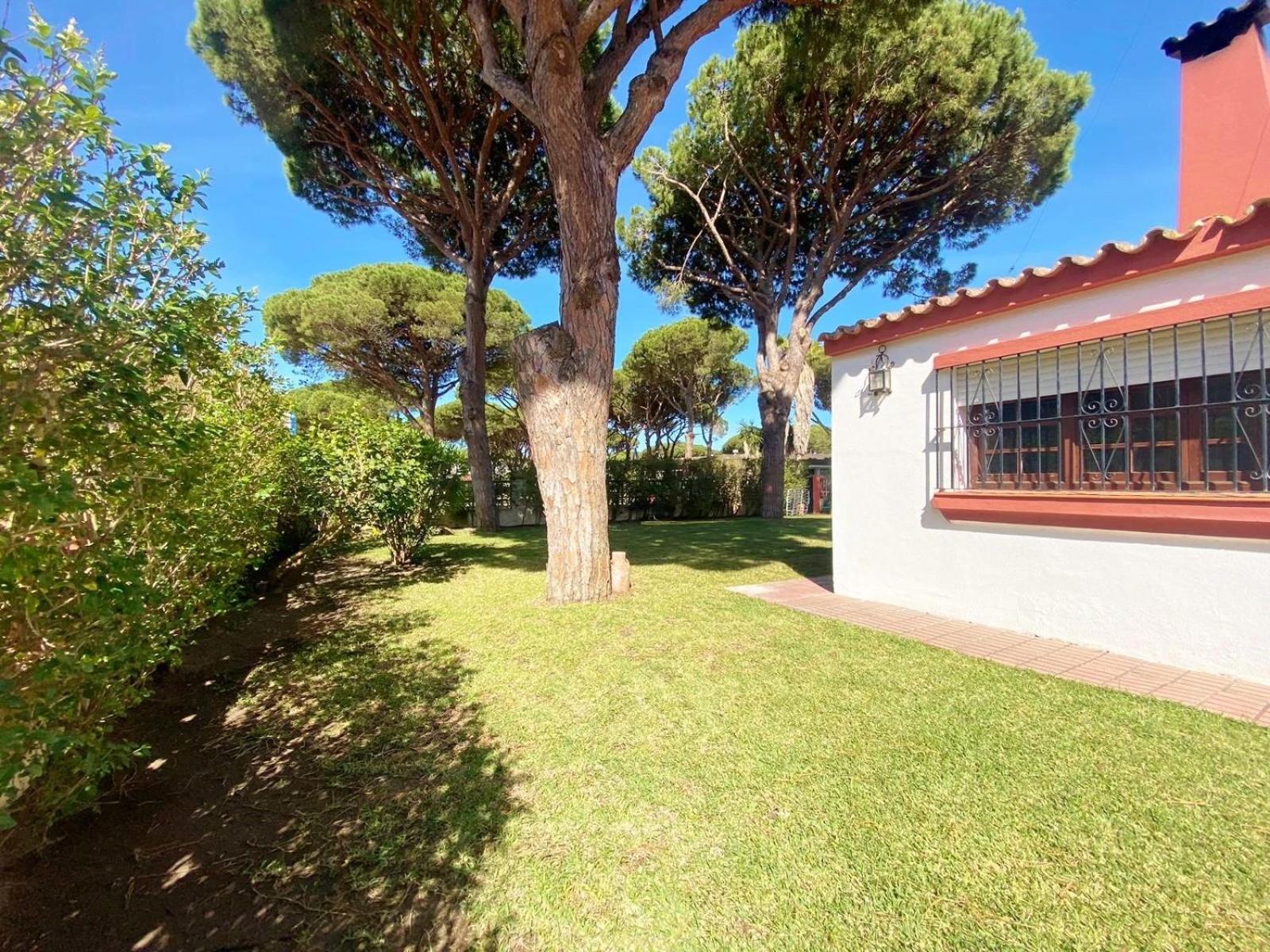 Chalet Roche A 300 Metros De La Playa Eksteriør billede